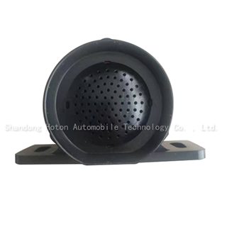 Car alarm